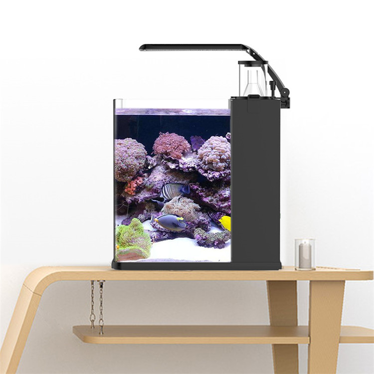 Marine Aquarium Cube - Skynuo Ultra Clear Glass Mini Zoutwater