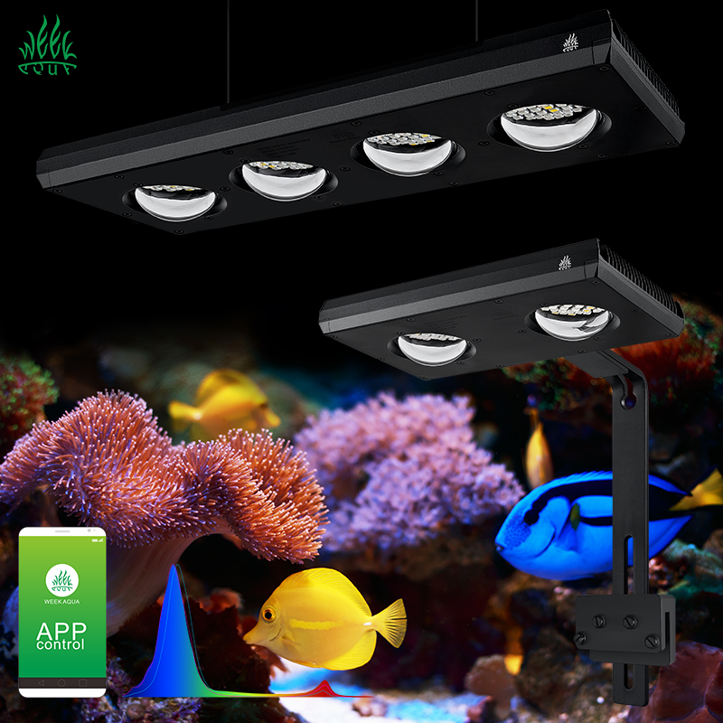Aquarium Blue Marine Reef - ZXY Hot Koop WEEKAQUA Z250 Z400sea