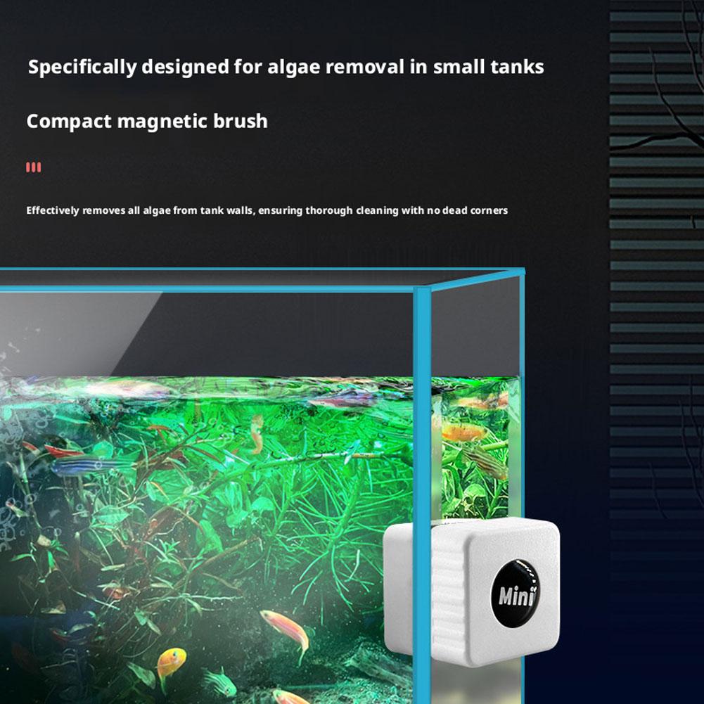 Magnetische aquariumglasreinig - Marine Aquarium Glass Scraper recensie en prijs