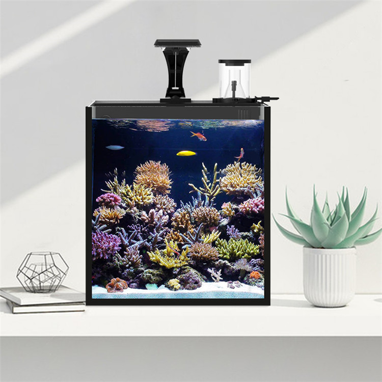 Skynuo Ultra Clear Glass Mini  - Marine Aquarium Cube recensie en prijs