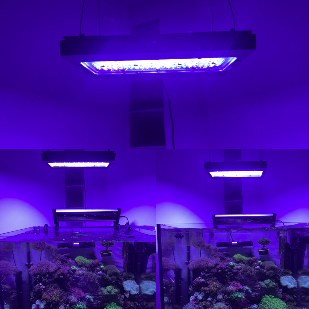 A8se Pro II MAX Blauw 240W Mar - Aquarium Blue Marine Reef recensie en prijs