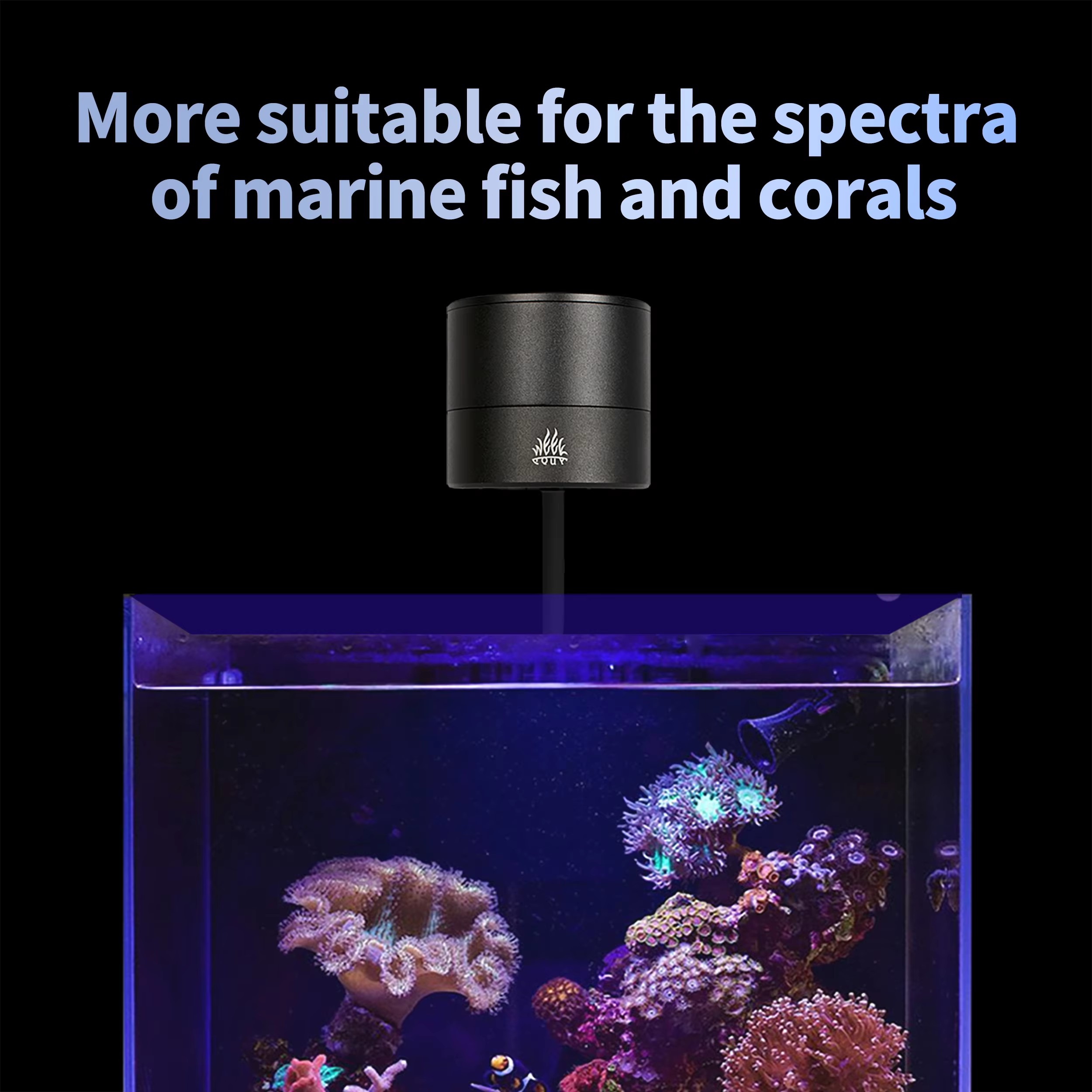WEEK AQUA Aquariumverlichting  - Aquarium Blue Marine Reef recensie en prijs