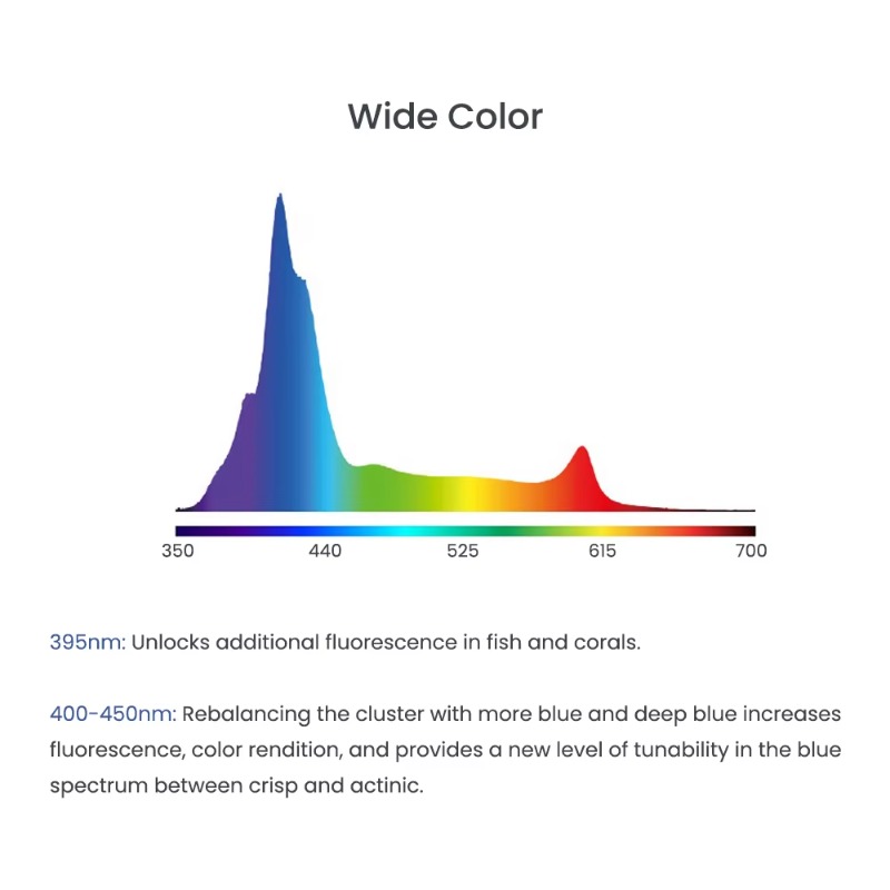 Blauwe 240W LED's Volledig spe - Aquarium Blue Marine Reef recensie en prijs