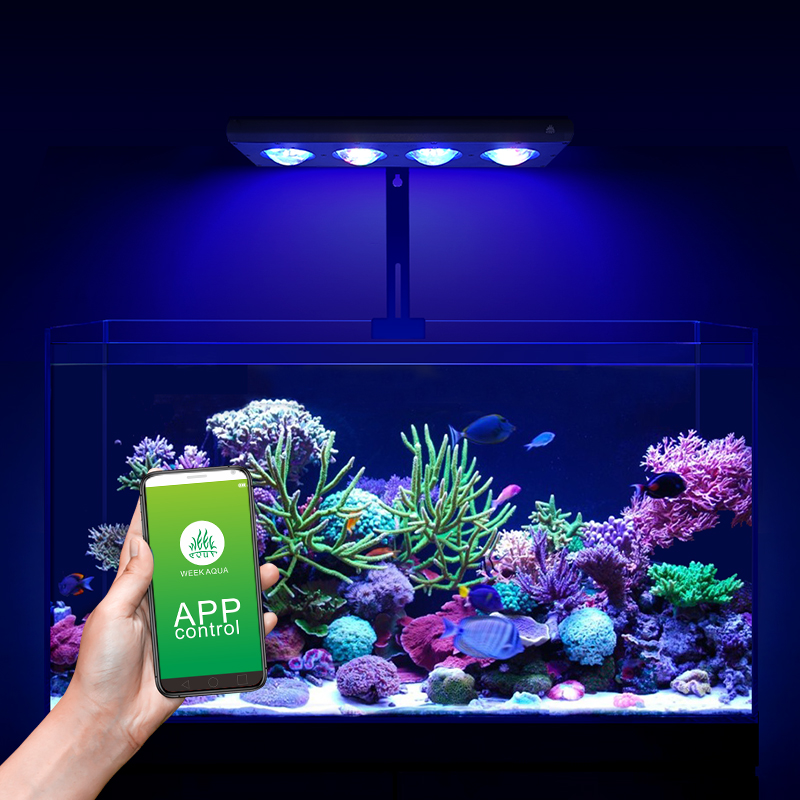 ZXY Hot Koop WEEKAQUA Z250 Z40 - Aquarium Blue Marine Reef recensie en prijs