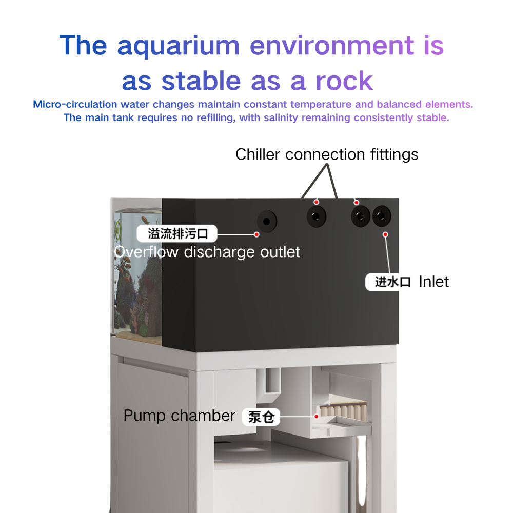 Slimme Visbak Paopaoshark Auto - Marine Aquarium Cube recensie en prijs