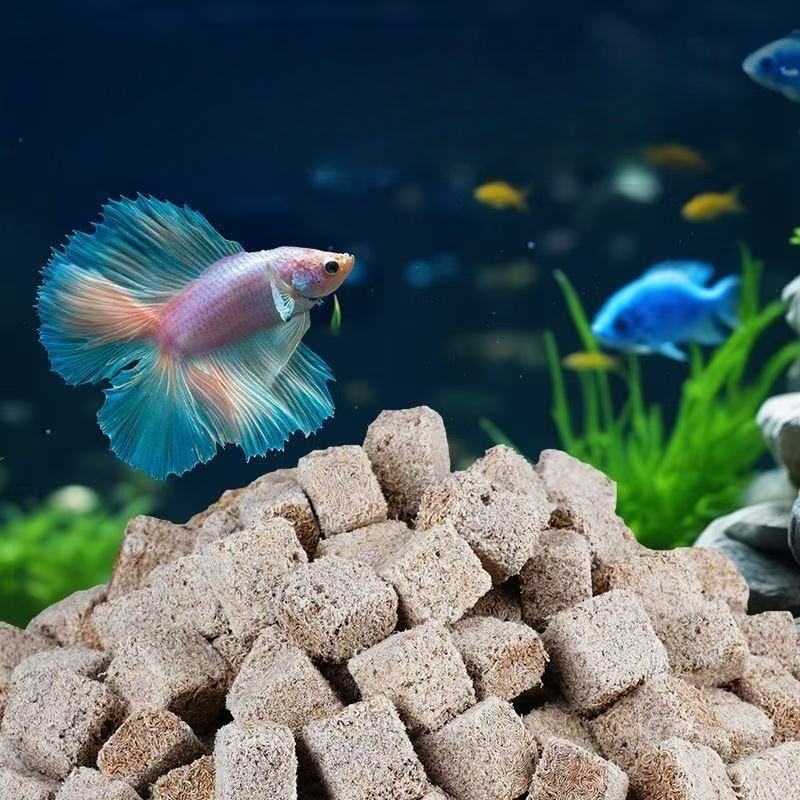 Natuurlijke Gevriesdroogde Blo - Marine Aquarium Cube recensie en prijs