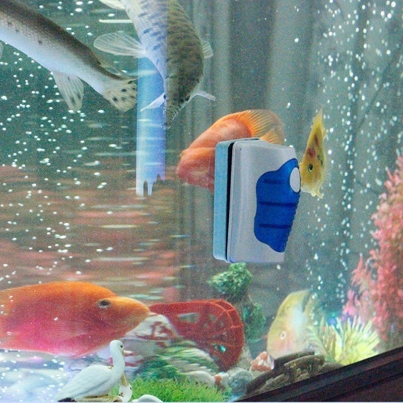 Aquarium Glasschraper Cleaner  - Marine Aquarium Glass Scraper recensie en prijs
